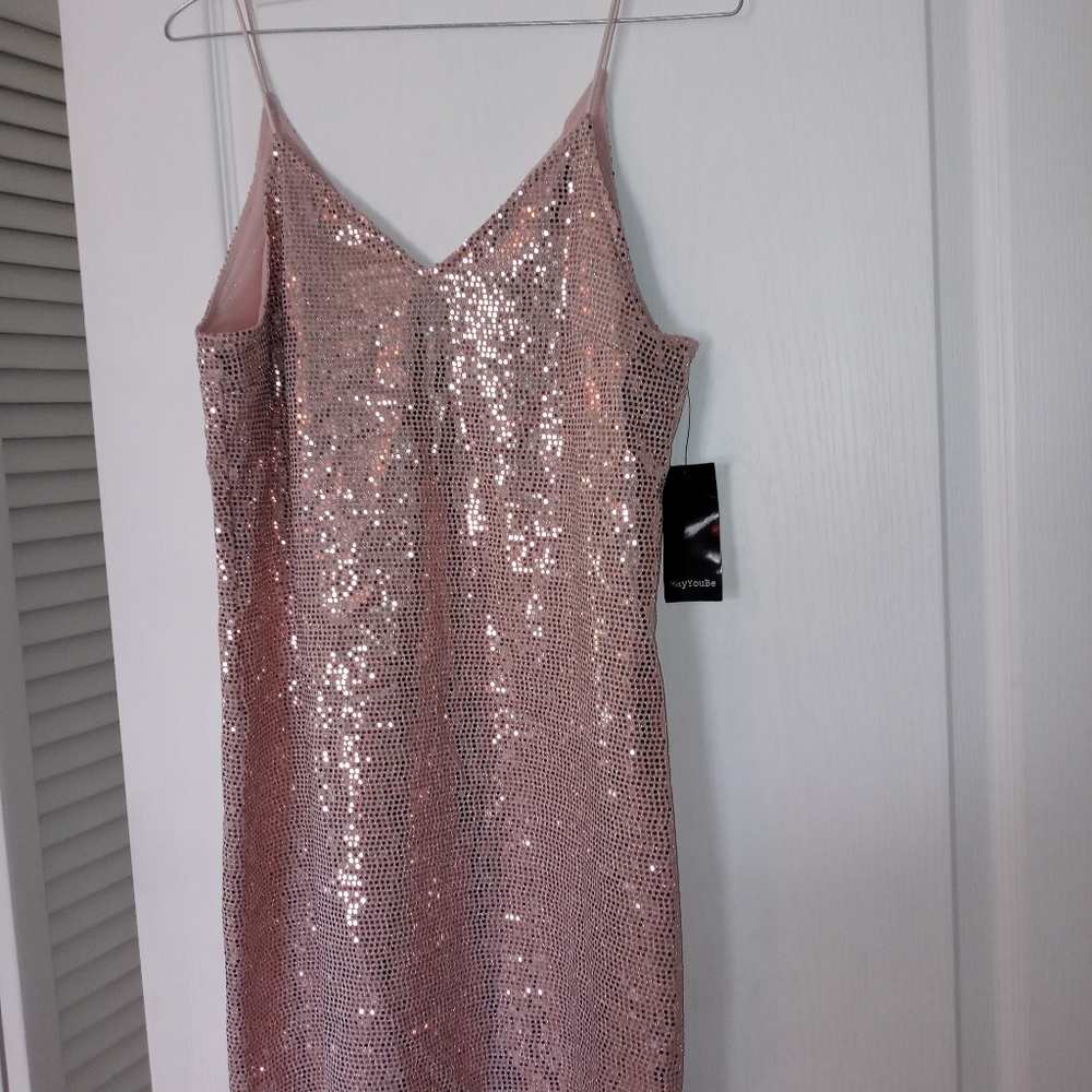 NWT Pink Tunic Dress